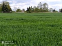 Działka budowlana Podrzewie, ul. Długa. Zdjęcie 3