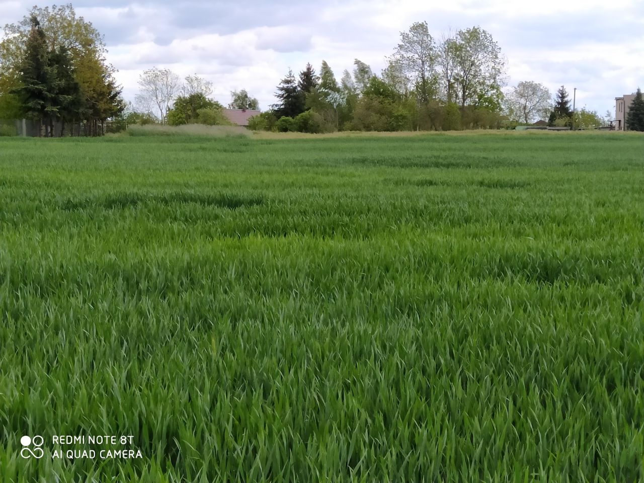 Działka budowlana Podrzewie, ul. Długa. Zdjęcie 4