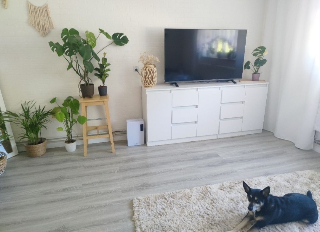 Mieszkanie 1-pokojowe Wardyń Dolny. Zdjęcie 3