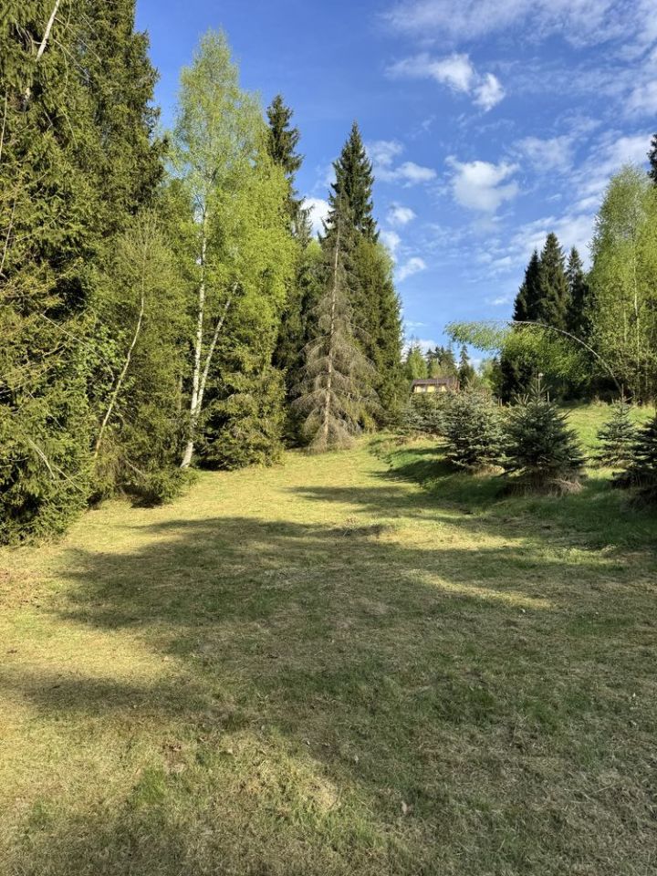 Działka rolna Pyzówka. Zdjęcie 4