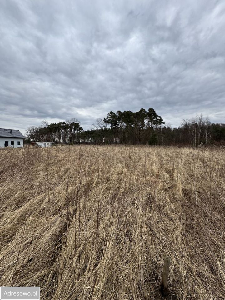 Działka budowlana Dębnik. Zdjęcie 14