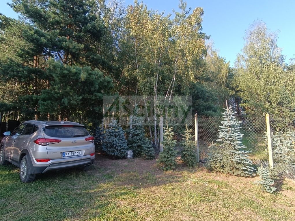 Działka siedliskowa Osuchów. Zdjęcie 10