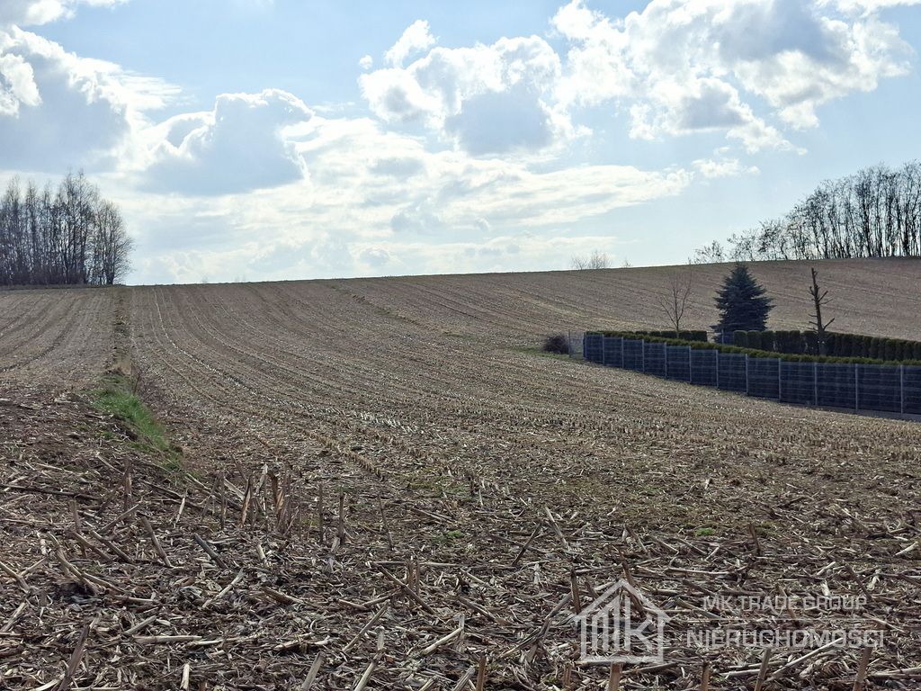 Działka Bodzanów. Zdjęcie 5