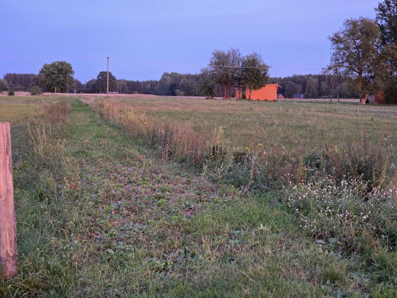 Działka budowlana Cudnów. Zdjęcie 6