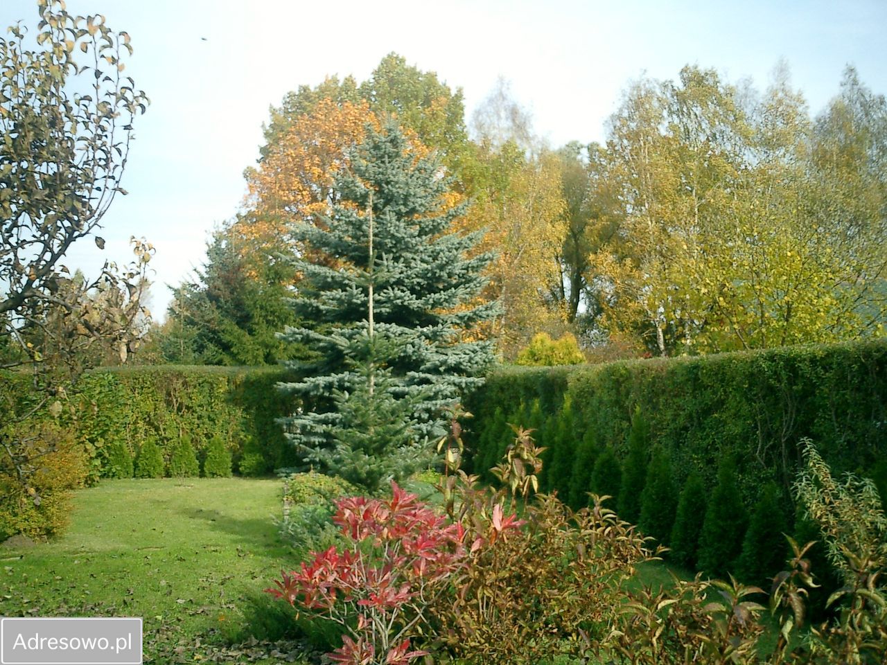 Działka rod Okołowice. Zdjęcie 16