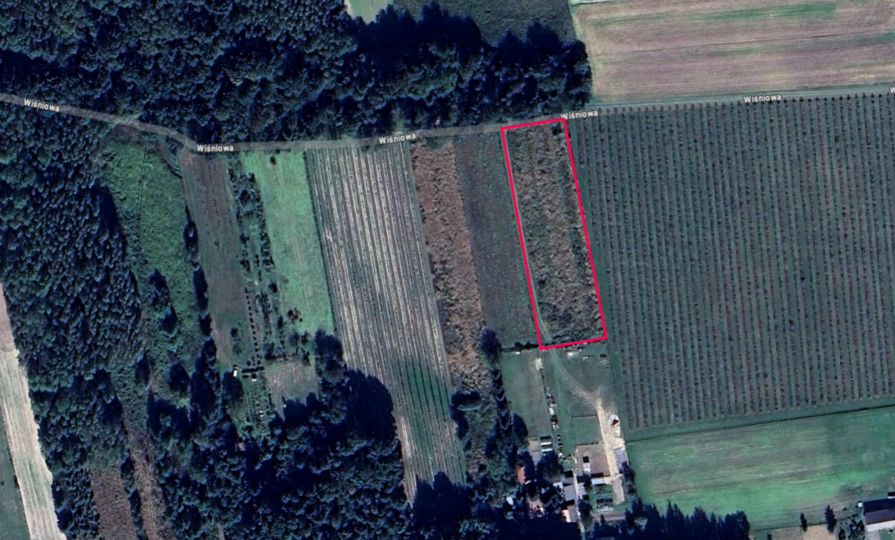 Działka rolno-budowlana Kajetanówka, Wiśniowa. Zdjęcie 4
