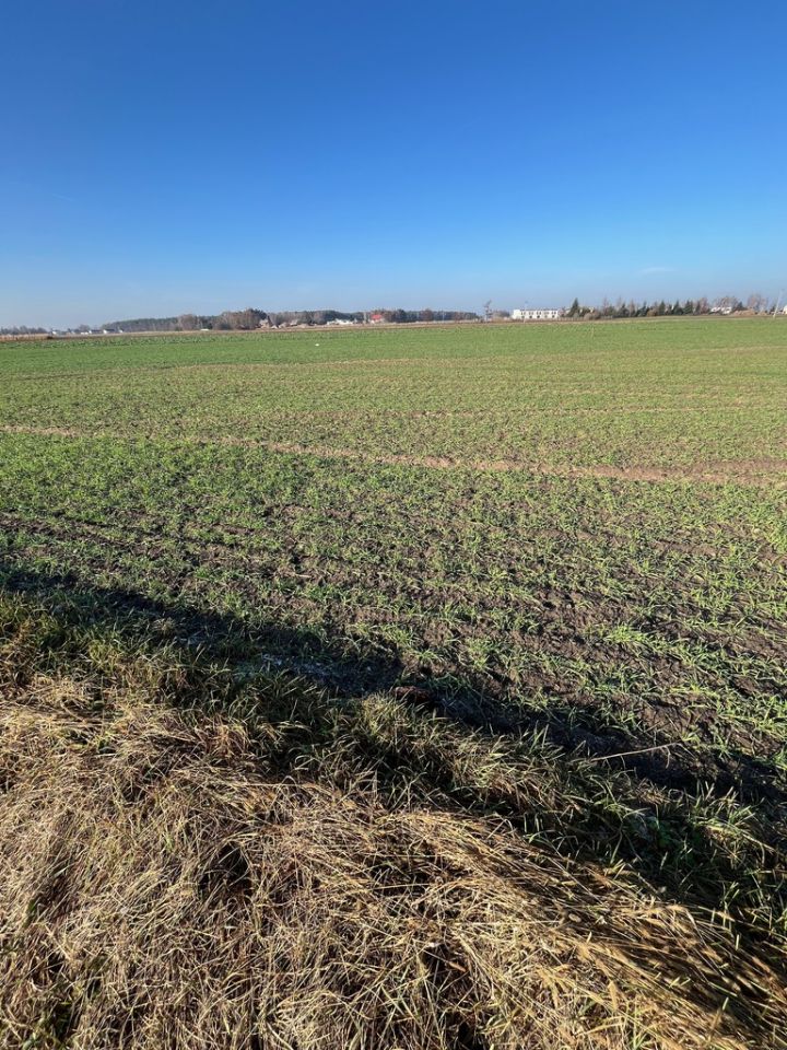 Działka budowlana Brodowo, ul. Ogrodowa. Zdjęcie 4