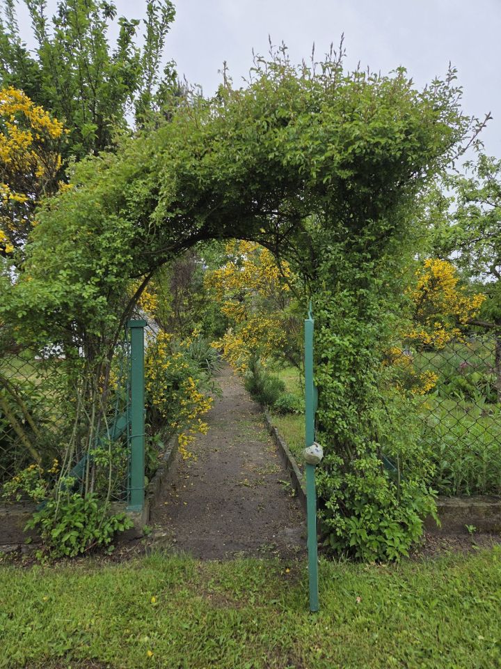 Działka rod Wrocław Polanowice. Zdjęcie 7