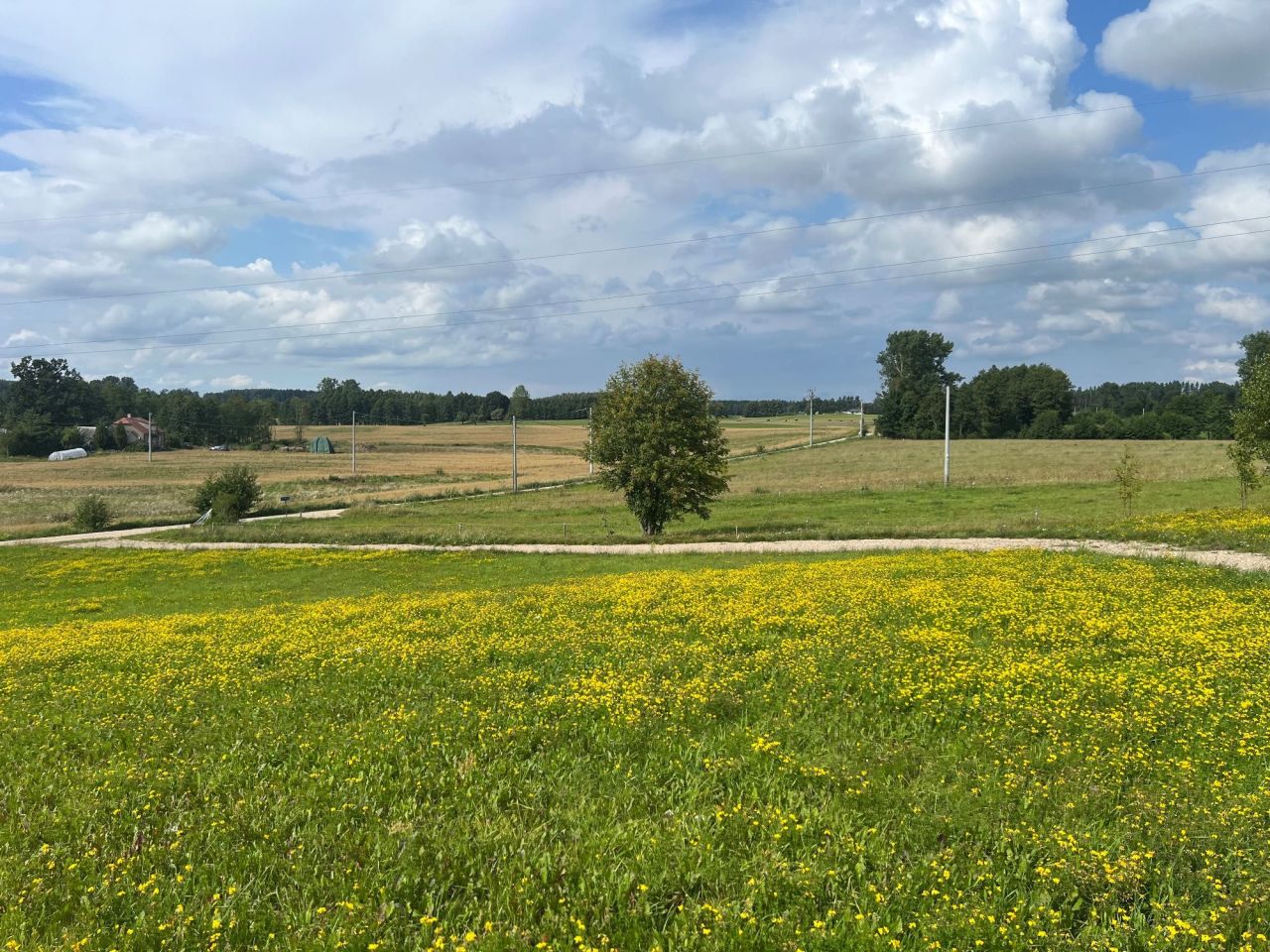 Działka rolno-budowlana Nowa Dębszczyzna