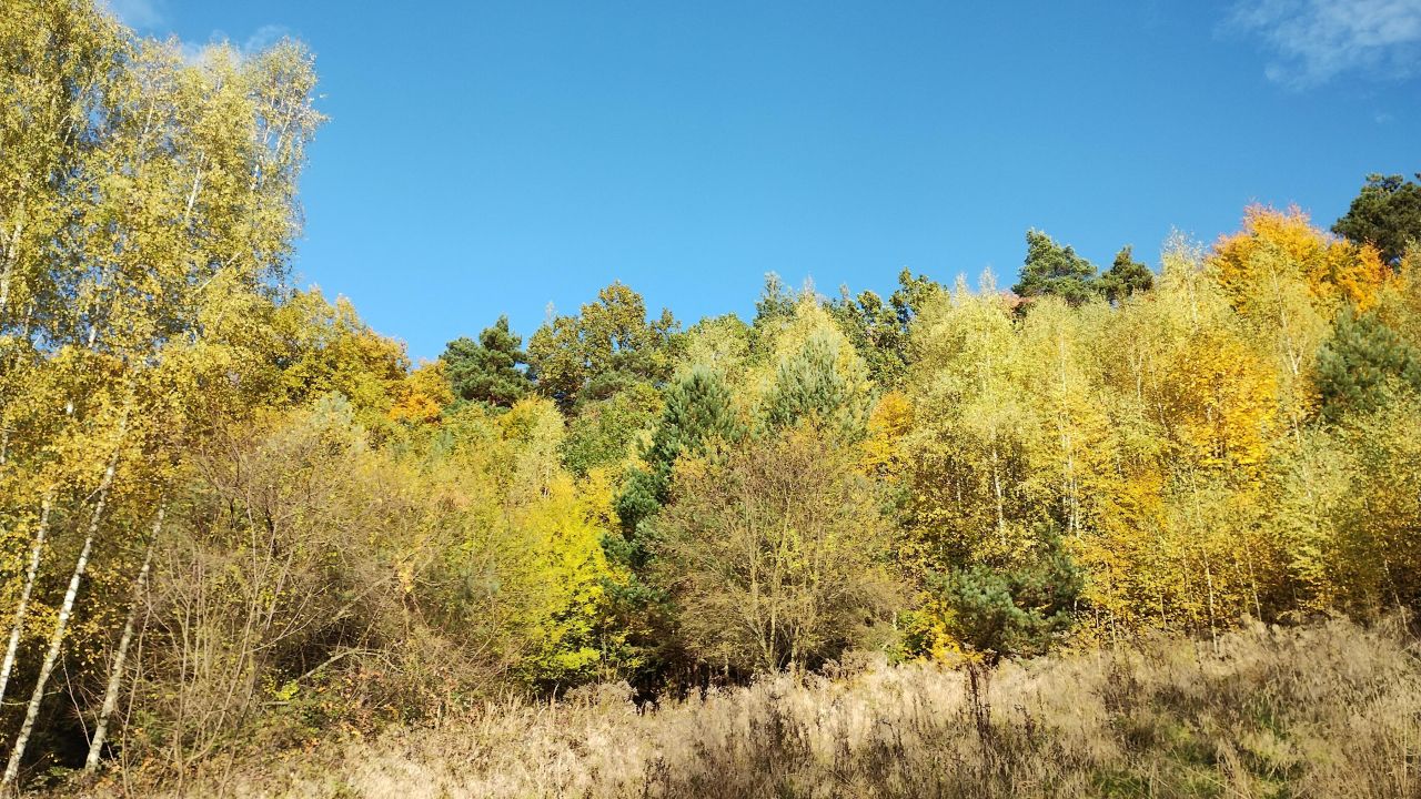 Działka rolno-budowlana Czasław