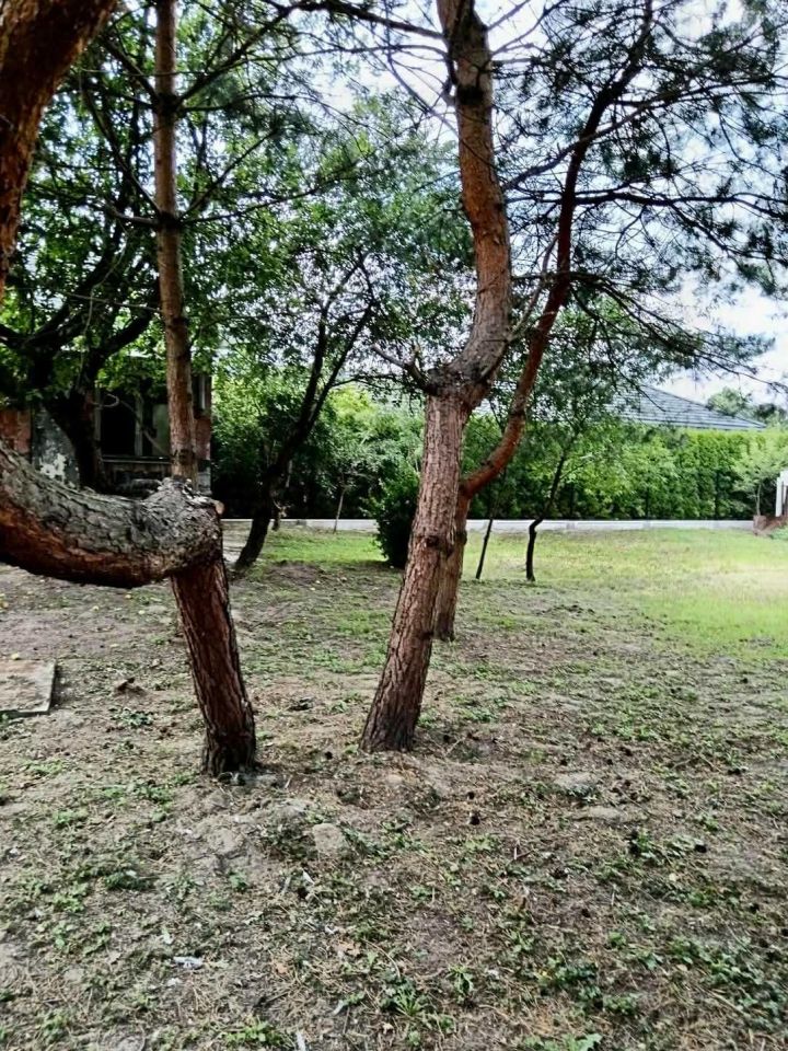 dom wolnostojący Sochaczew Centrum, ul. Nowowiejska. Zdjęcie 2