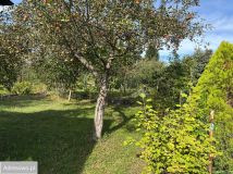 Działka rekreacyjna Sosnowiec Pogoń. Zdjęcie 4