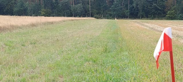 Działka budowlana Porządzie. Zdjęcie 1