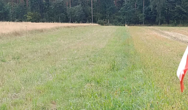Działka budowlana Porządzie