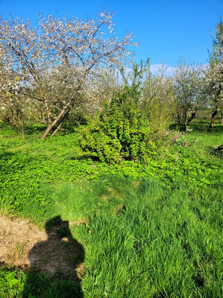 Działka budowlana Gierałcice, ul. Opolska. Zdjęcie 5