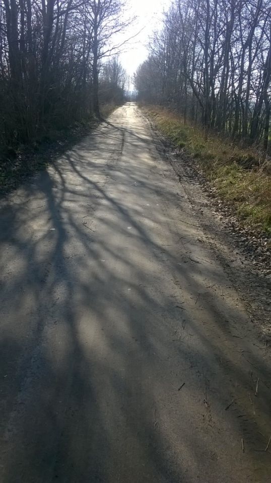 Działka rolna Sulicice Ameryka. Zdjęcie 5