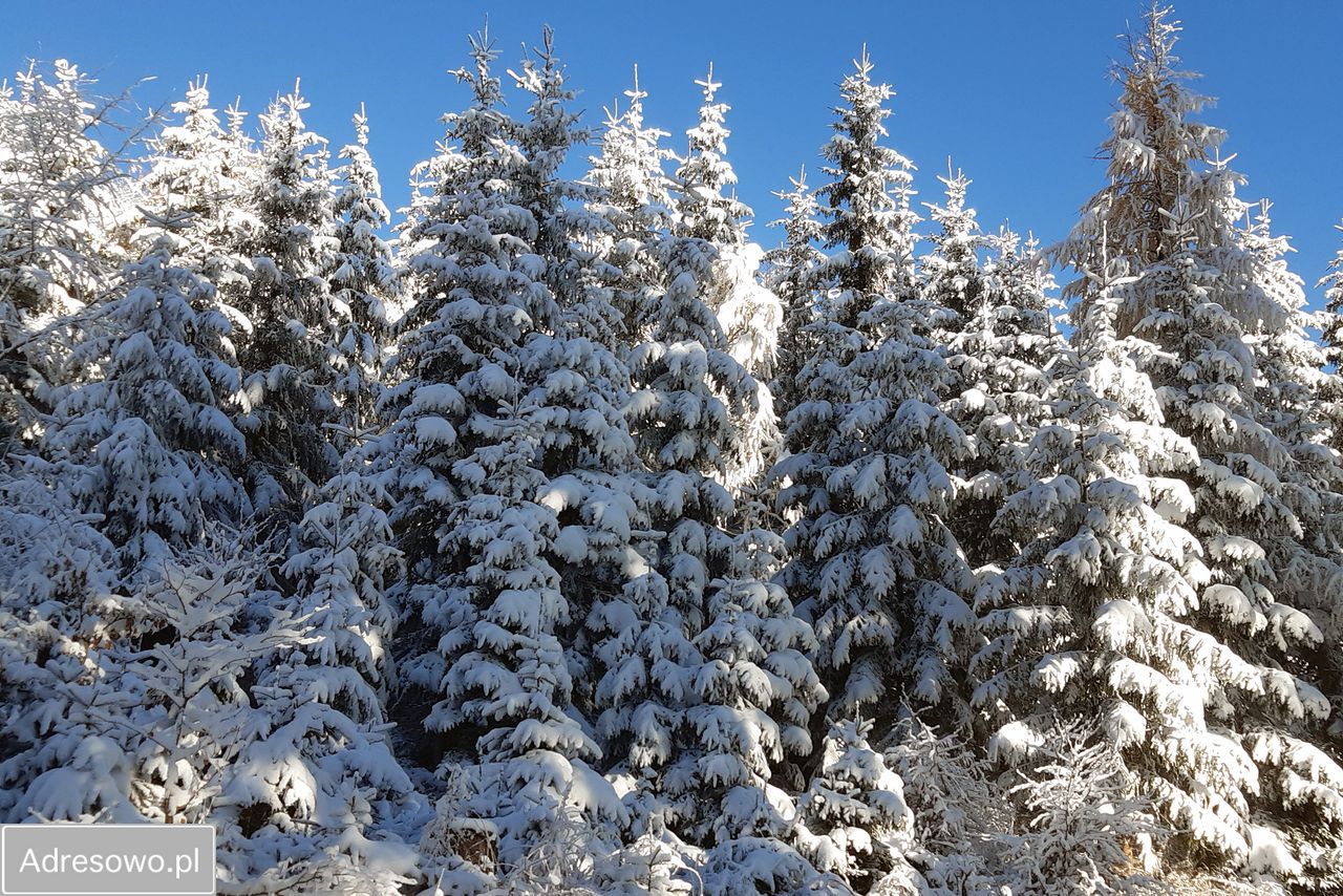 Działka budowlana Jarkowice. Zdjęcie 8