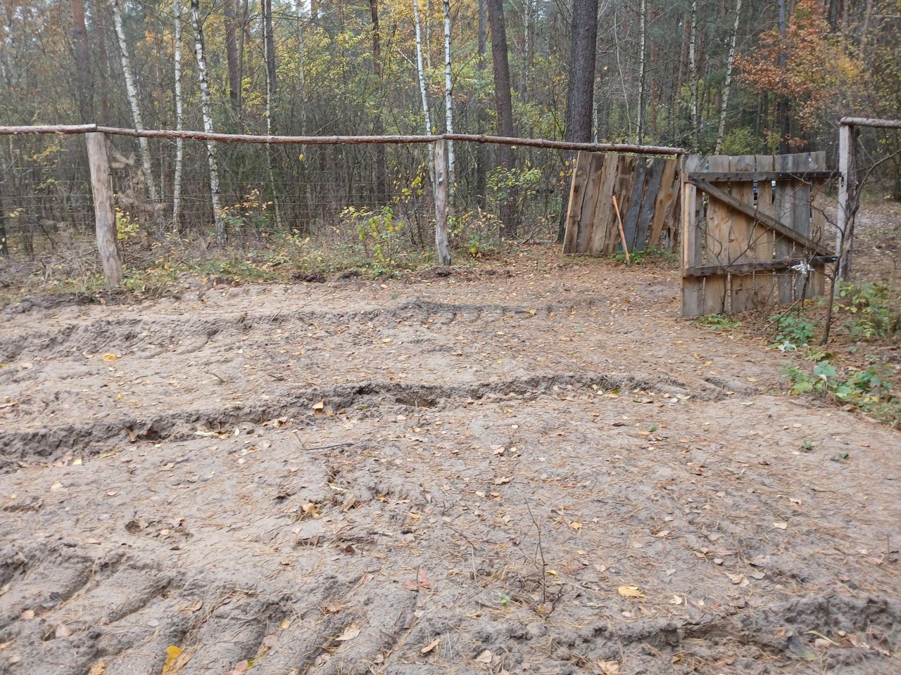 Działka leśna Jankowo-Młodzianowo. Zdjęcie 8