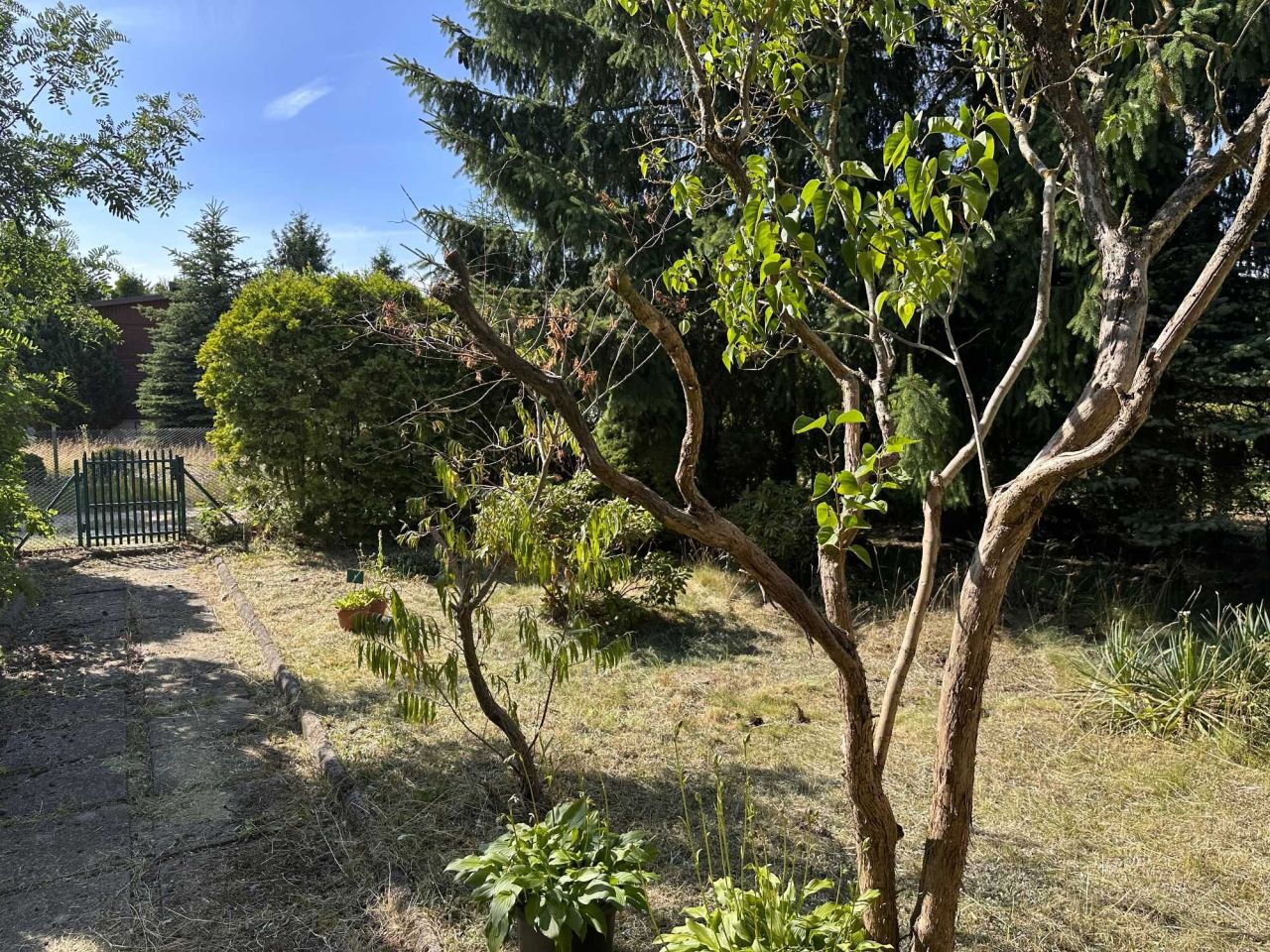 Działka rod Sokolniki-Las. Zdjęcie 3