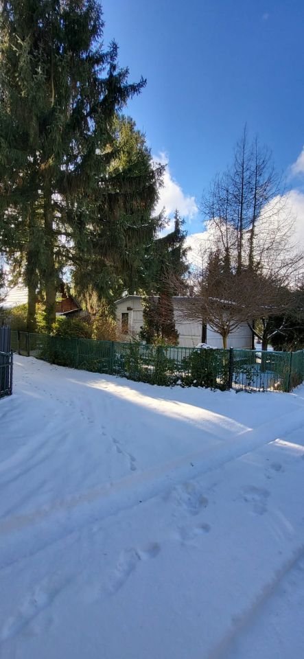 Działka rod Romanów, Romanów 18A. Zdjęcie 12