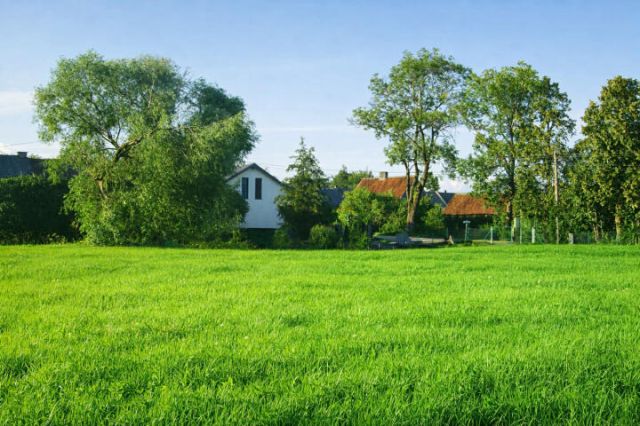 Działka rolna Kozłowo. Zdjęcie 1