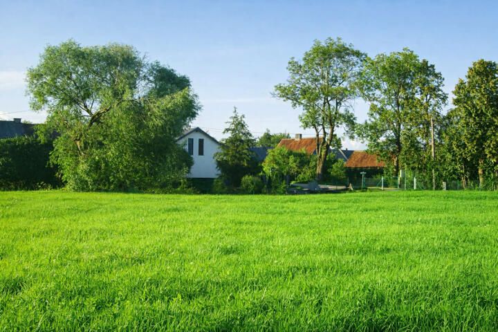 Działka rolna Kozłowo. Zdjęcie 1