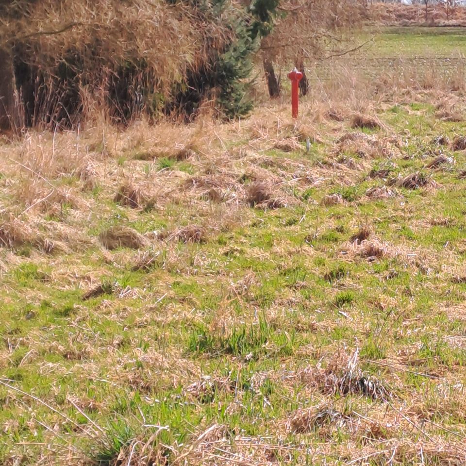 Działka budowlana Mała Wieś Dolna. Zdjęcie 12