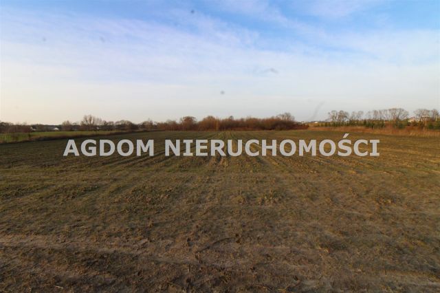 Działka rolna Chełmica Duża. Zdjęcie 4