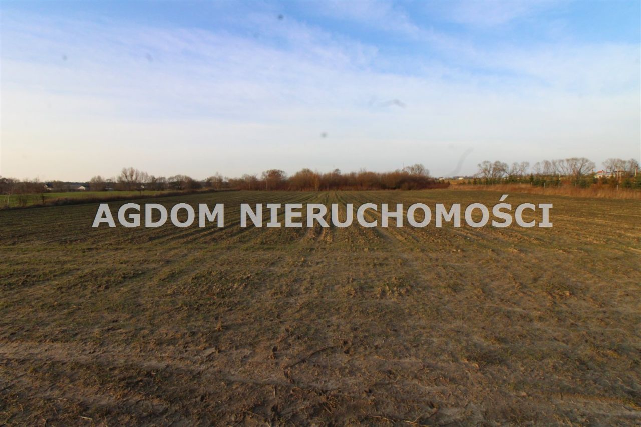 Działka rolna Chełmica Duża. Zdjęcie 4
