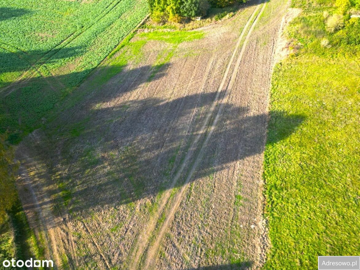 Działka budowlana Suszki. Zdjęcie 2