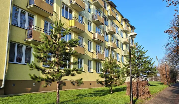 Mieszkanie 2-pokojowe Lipno