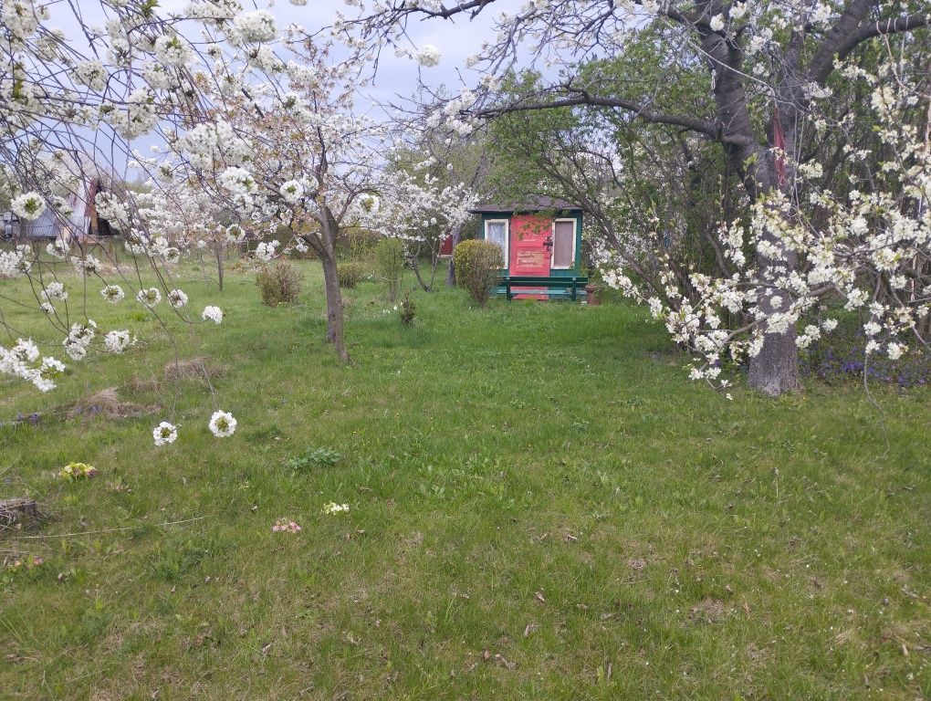 Działka rod Bielawa. Zdjęcie 7