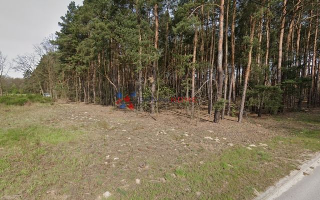 Działka budowlana Marylka. Zdjęcie 5