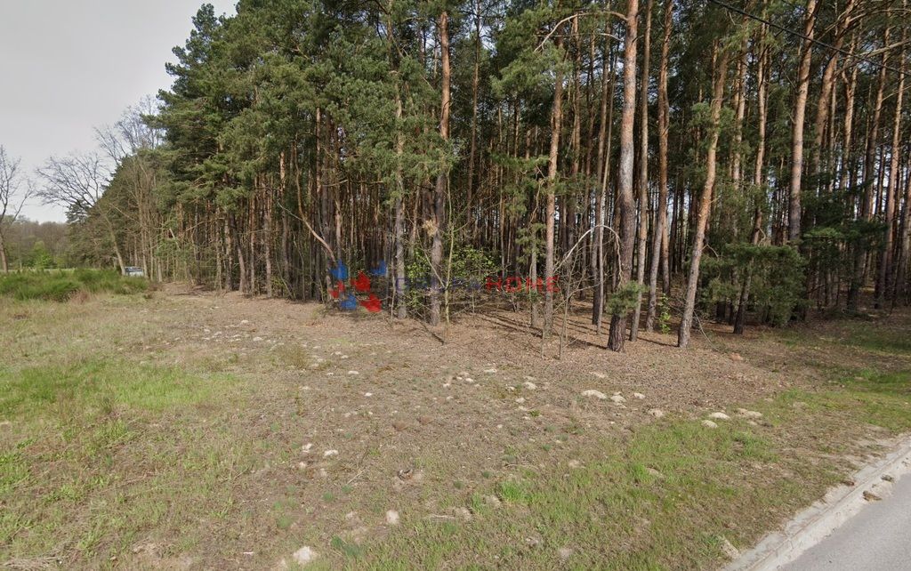 Działka budowlana Marylka. Zdjęcie 5