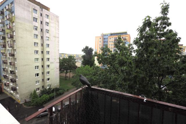 Mieszkanie 1-pokojowe Bydgoszcz Kapuściska, ul. Walecznych. Zdjęcie 9