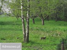 Działka budowlana Dąbrówka, ul. Kościelna. Zdjęcie 3