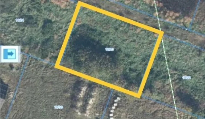 Działka budowlana Głuchowo, ul. Klonowa