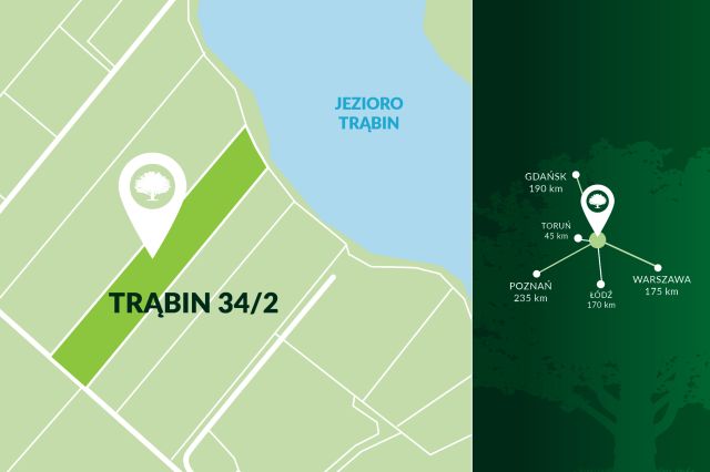 Działka rolno-budowlana Trąbin-Wieś Parcele Trąbińskie. Zdjęcie 5