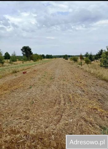 Działka rolno-budowlana Łagów. Zdjęcie 1