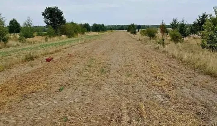 Działka rolno-budowlana Łagów