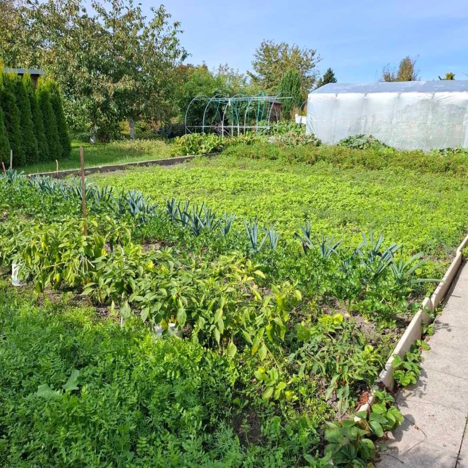 Działka rod Sztum, ul. Kasprowicza. Zdjęcie 8