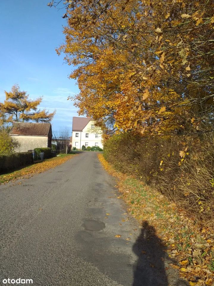 dom wolnostojący, 7 pokoi Budzieszewice. Zdjęcie 19