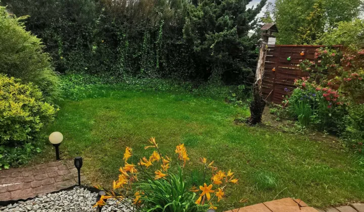 Działka rod Jagodowo osada leśna