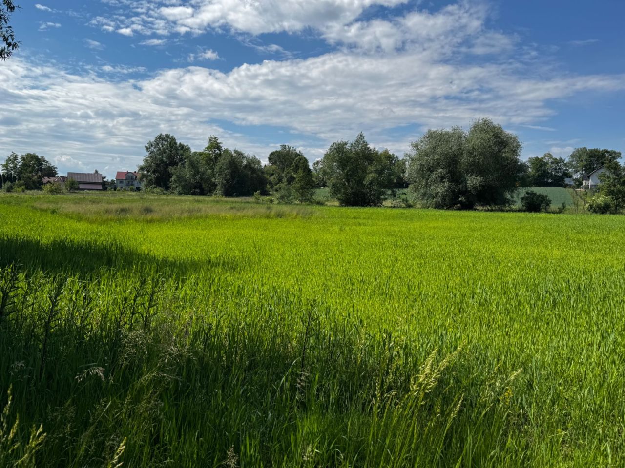 Działka rolna Kraków Nowa Huta. Zdjęcie 4