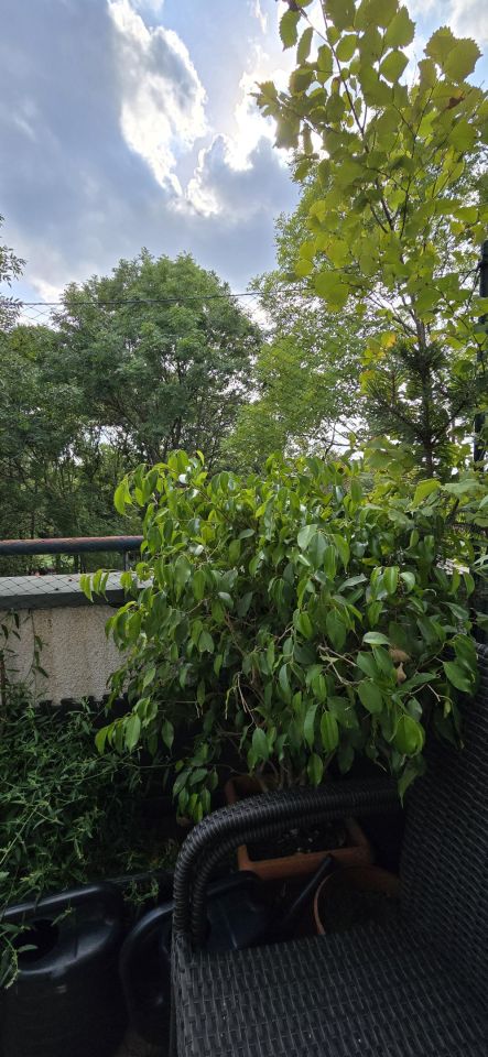 Mieszkanie 4-pokojowe Warszawa Ursus, ul. Poczty Gdańskiej. Zdjęcie 21
