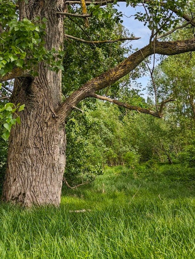 Działka budowlana Strońsko