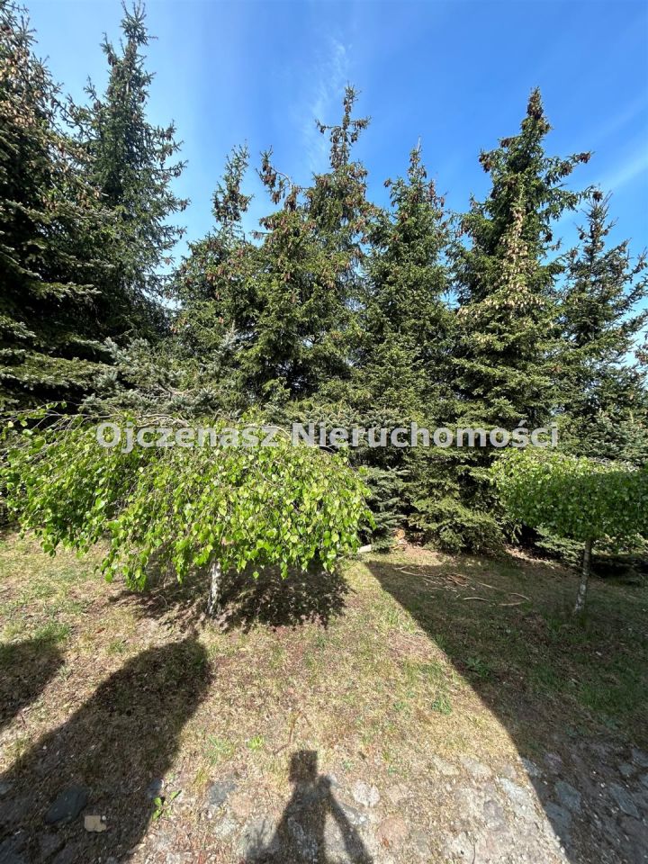 dom, 5 pokoi Niemcz. Zdjęcie 7