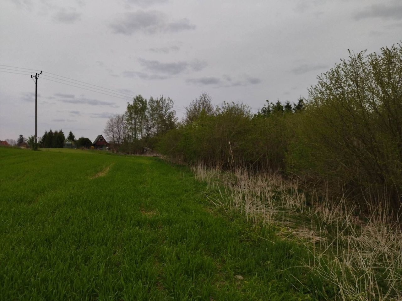 Działka budowlana Dźwierzuty, Dźwierzuty. Zdjęcie 13