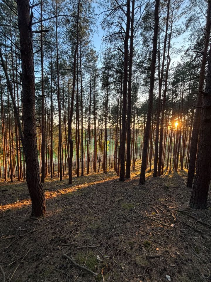 Działka budowlana Pąchy, Pąchy. Zdjęcie 8