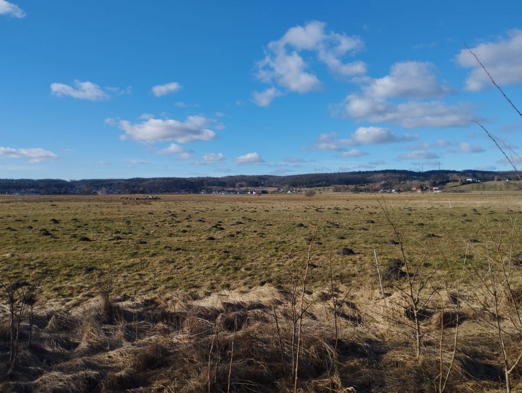 Działka rolna Nowa Wieś Lęborska. Zdjęcie 6